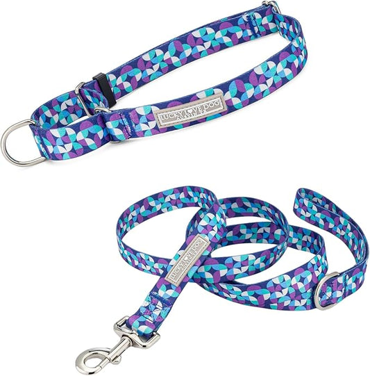 Lucky Love Dog, Blue and Purple Mosaic Plaid Martingale Dog Collar and Leash Set, Premium No Slip Dog Collar and Leash Set, Martingale Collar for Male Female Dogs - (Medium, Jasper Mart - Combo)