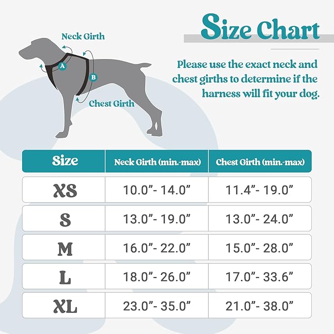 rabbitgoo Dog Harness, No-Pull Pet Harness with 2 Leash Clips, Adjustable Soft Padded Dog Vest, Reflective No-Choke Pet Oxford Vest with Easy Control Handle for Large Dogs, Teal, M