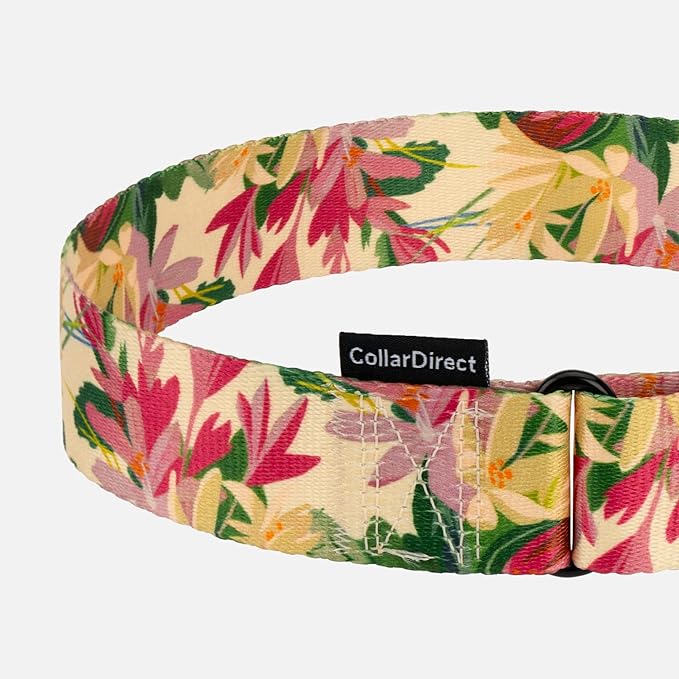 CollarDirect Martingale Collars for Dogs Heavy Duty Floral Pattern Female Safety Nylon Training Wide Collar Flower Design Large Medium (M, Neck Size 12"-17", Toffee)