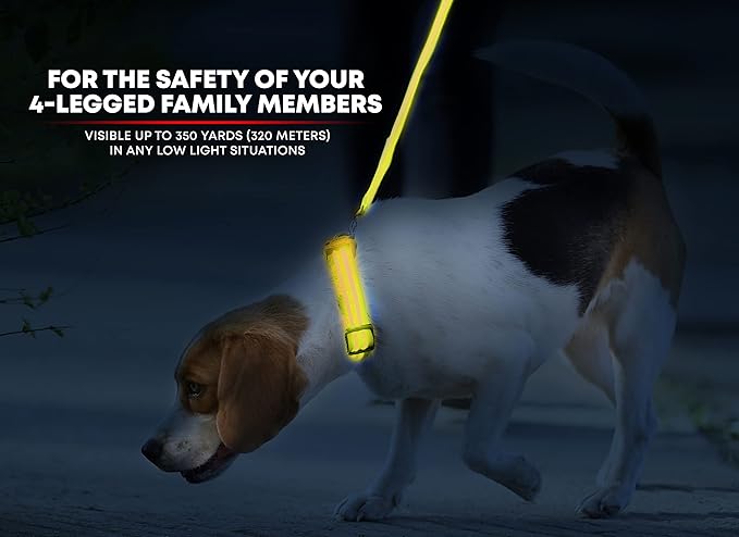 ILLUMISEEN LED Dog Collar USB Rechargeable - Bright & High Visibility Lighted Glow Collar for Pet Night Walking - Weatherproof, in 6 Colors & 6 Sizes (Yellow Small)