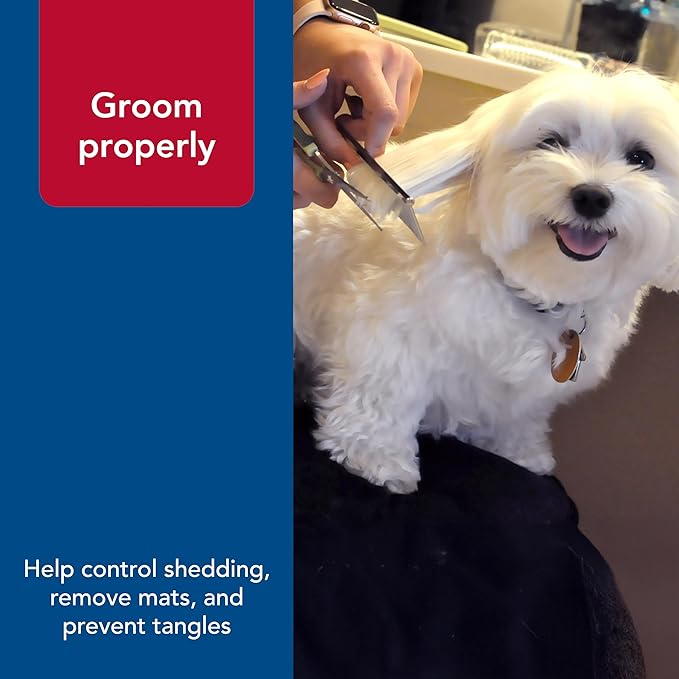 Coastal Pet Safari Dog Grooming Comb for Medium and Coarse Coats - Extra-Long Rotating Teeth - Undercoat Rake for Coarse Coats - 7 1/4"