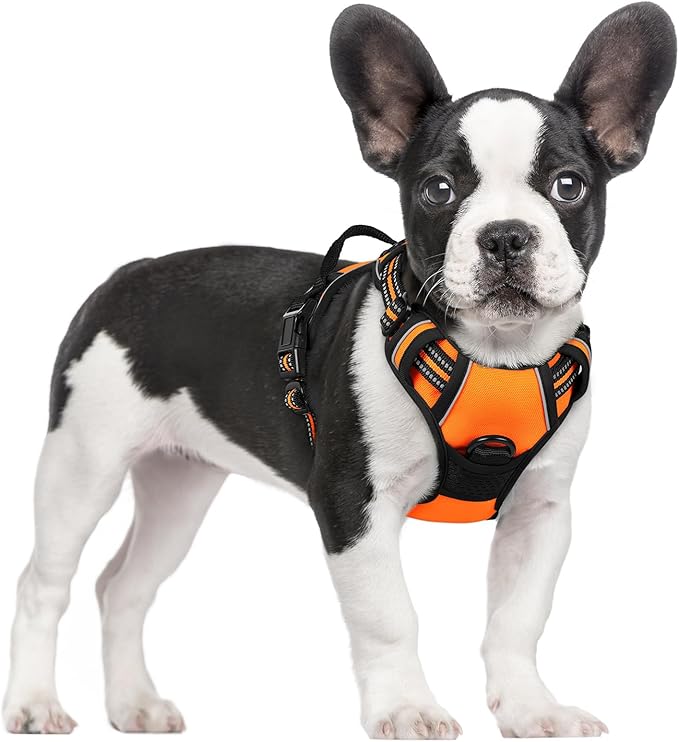 rabbitgoo Dog Harness, No-Pull Pet Harness with 2 Leash Clips, Adjustable Soft Padded Dog Vest, Reflective No-Choke Pet Oxford Vest with Easy Control Handle for Small Dogs,Orange,S