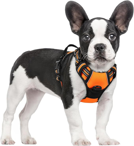 rabbitgoo Dog Harness, No-Pull Pet Harness with 2 Leash Clips, Adjustable Soft Padded Dog Vest, Reflective No-Choke Pet Oxford Vest with Easy Control Handle for Small Dogs,Orange,S
