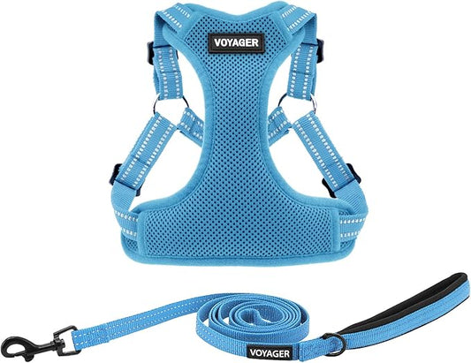 Best Pet Supplies Voyager Adjustable Dog Harness Leash Set with Reflective Stripes for Walking Heavy-Duty Full Body No Pull Vest with Leash D-Ring, Breathable All-Weather - Harness (Baby Blue), M