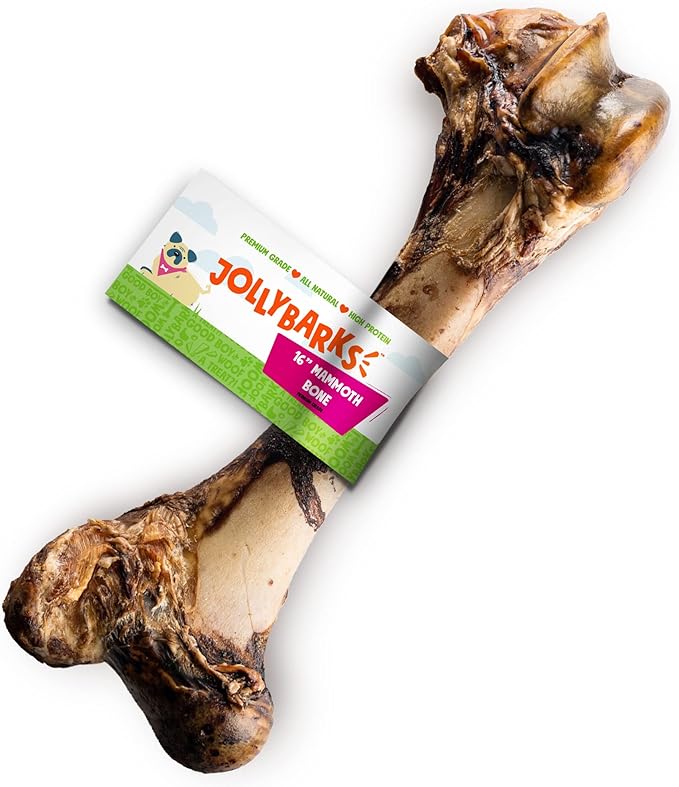 Mammoth Dog Bones for Large Dogs | 16" Long Lasting Dog Bone| Savory Smoked Dog Bones for Aggressive Chewers (1 Pack)