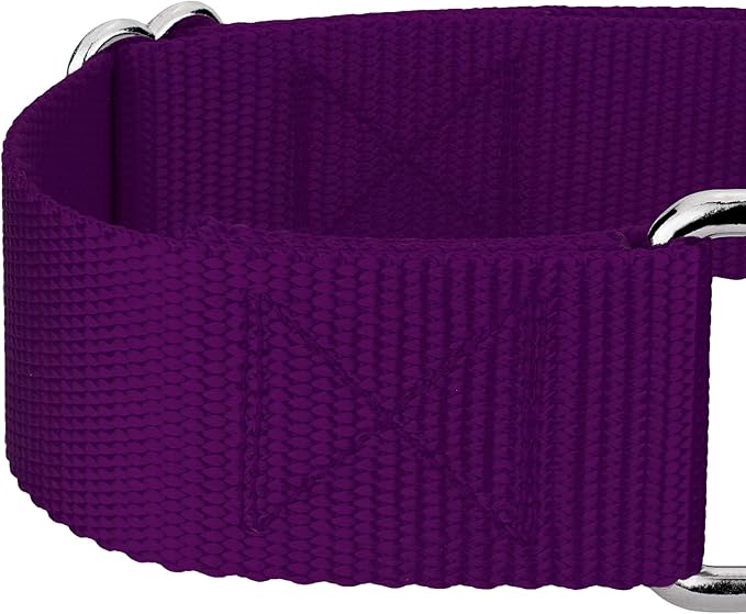 Country Brook Petz 1 1/2 Inch Martingale Heavy Duty Nylon Adjustable Dog Collar for Small, Medium, Large Breeds - Vibrant 17 Color Selection (Purple, Extra Large)