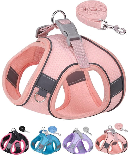 Dog Harness for Small Medium Sized Dog, Puppy Harness and Leash Set Training, Dog Harness and Leash Set, Dog Vest Harness, Dog Harness Small Sized Dog, Small Dog Harness. (Peach, XXS)