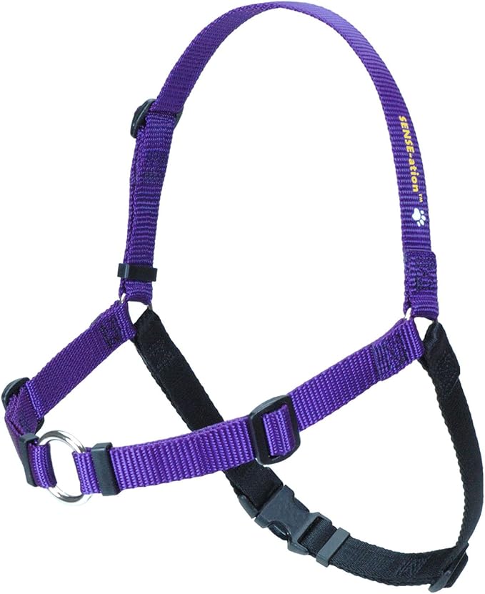 SENSE-ation No-Pull Dog Harness (Purple, Medium/Large Narrow) by Sense-Ation Harness