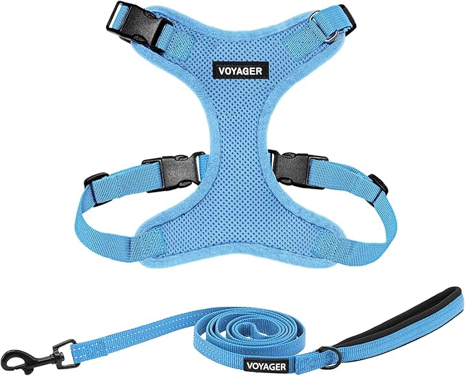 Voyager Step-in Lock Dog Harness w Reflective Dog Leash Combo Set with Neoprene Handle 5ft - Supports Small, Medium and Large Breed Puppies/Cats by Best Pet Supplies - Baby Blue, S