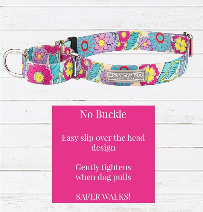 Lucky Love Dog Martingale Collar and Leash Set, Premium No Slip Martingale Collar for Large Dogs, Great for Whippets, Greyhounds, and More (Caroline, Large - Combo)