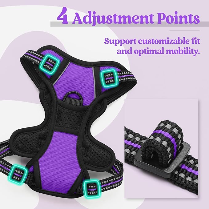 rabbitgoo Dog Harness, No-Pull Pet Harness with 2 Leash Clips, Adjustable Soft Padded Dog Vest, Reflective No-Choke Pet Oxford Vest with Easy Control Handle for Small Dogs, Purple,XS