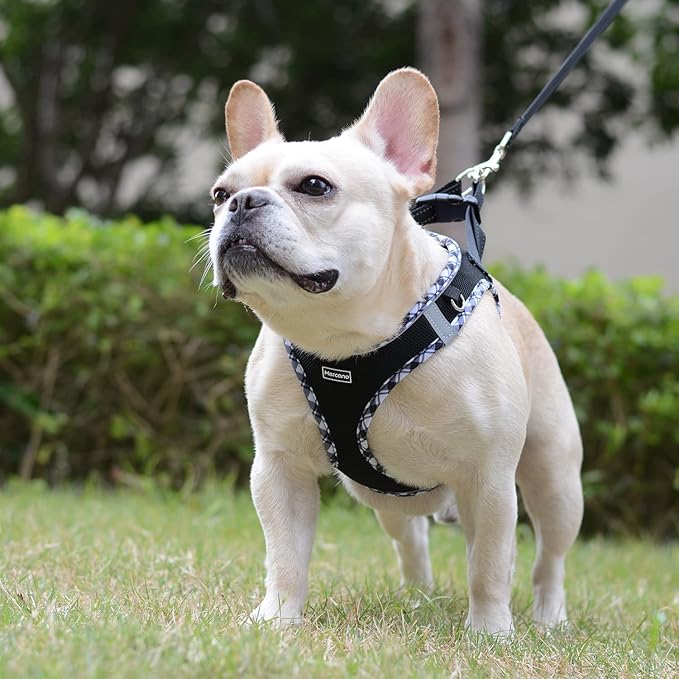 Mercano Soft Mesh Dog Harness and Leash Set, No-Chock Step-in Reflective Breathable Lightweight Easy Walk Escape Proof Vest Harnesses with Safety Buckle for Small Medium Dogs, Cats (Black White, L)