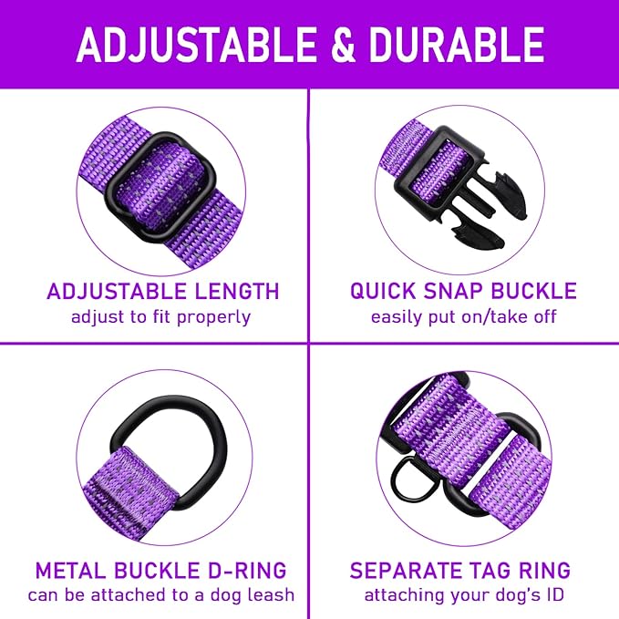 Martingale Collar for Training Dogs. Adjustable Reflective Dog Collars with Buckle- Prevents Slipping Out, for Medium Large XL Dogs. Helps with Strong pullers(S, Purple)