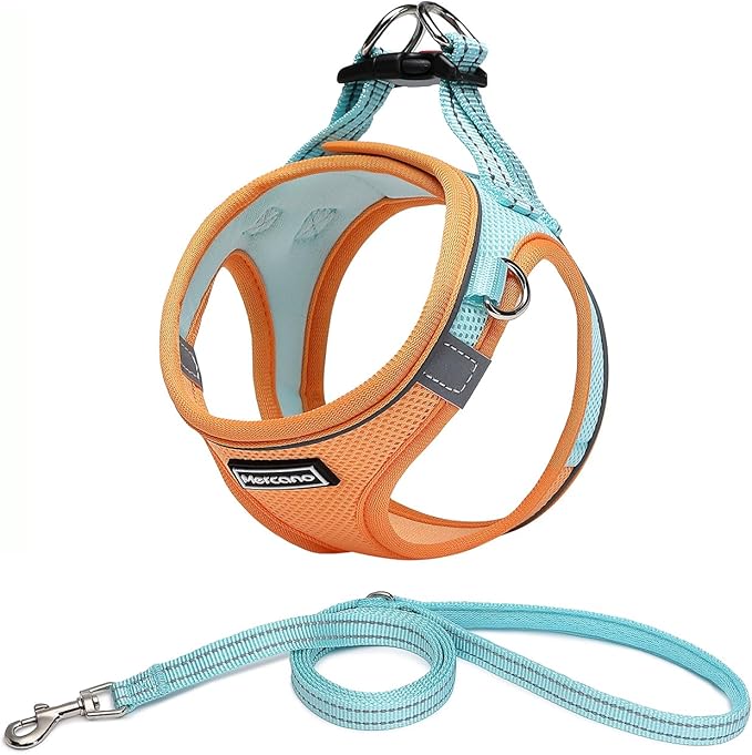 Mercano Soft Mesh Dog Harness and Leash Set, No-Chock Step-in Reflective Breathable Lightweight Easy Walk Escape Proof Vest Harnesses with Safety Buckle for Small Medium Dogs, Cats (XS, Orange Blue)