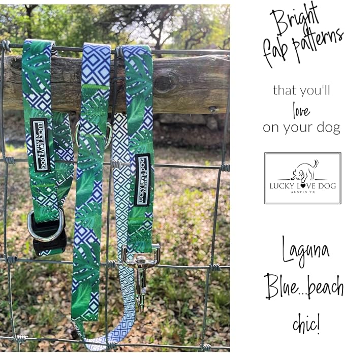 Lucky Love Dog Collar, Beautiful & Vivid Pattern Large Boy Dog Collars, Easy On & Off Clasp Accessory (Blue Laguna, L)