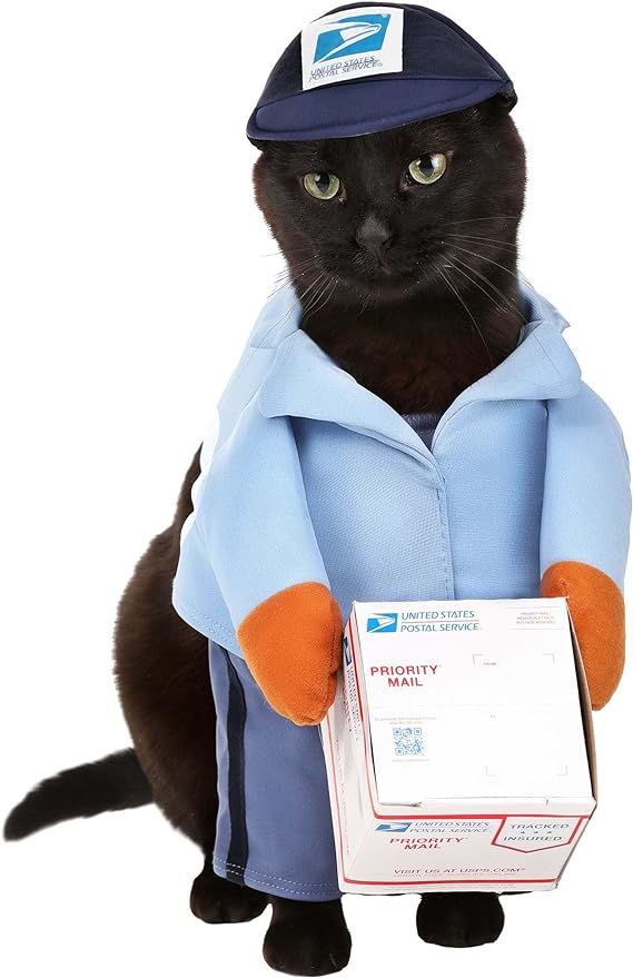 California Costumes Dog Mail Carrier Costume USPS, Large