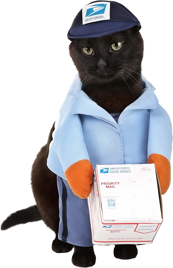California Costumes Dog Mail Carrier Costume USPS - X-Small - Blue
