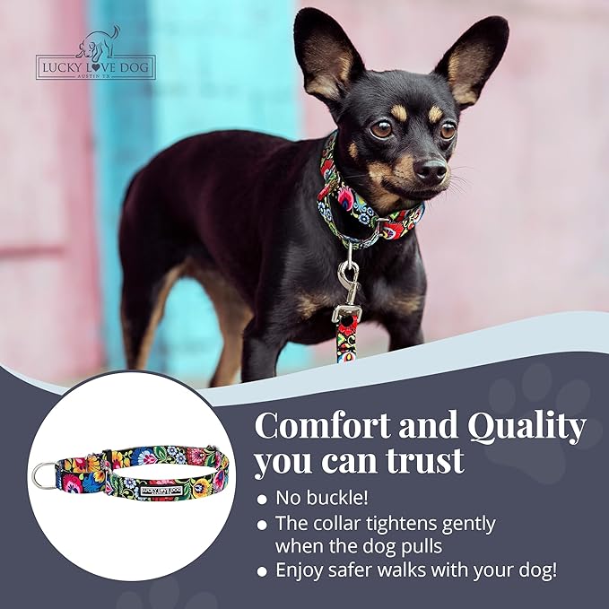 Lucky Love Dog Martingale Dog Collar - Adjustable, No-Slip, Durable, & Soft Webbing Dog Collar for Male and Female Dogs Ideal for Training & Walking - Stylish Blackbird Pattern, Small Size
