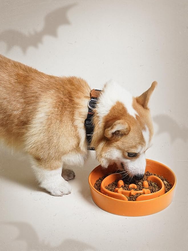 LE TAUCI Dog Bowls Slow Feeder Ceramic, 1.5 Cup Slow Feeding Bowl for Medium Breed Puppies & Fast Eaters, Puzzle Dog Food Bowl, Pumpkin Orange