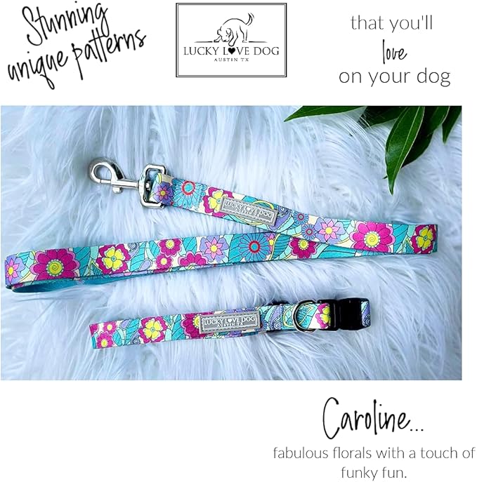 Lucky Love Dog Collars, Cute Girl Collars, Small Medium Large Female Collars, Part of Purchase Donated to Rescue (Extra Large, Caroline, Combo)