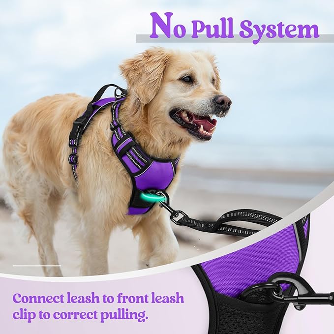 rabbitgoo Dog Harness, No-Pull Pet Harness with 2 Leash Clips, Adjustable Soft Padded Dog Vest, Reflective No-Choke Pet Oxford Vest with Easy Control Handle for Large Dogs, Purple, XL