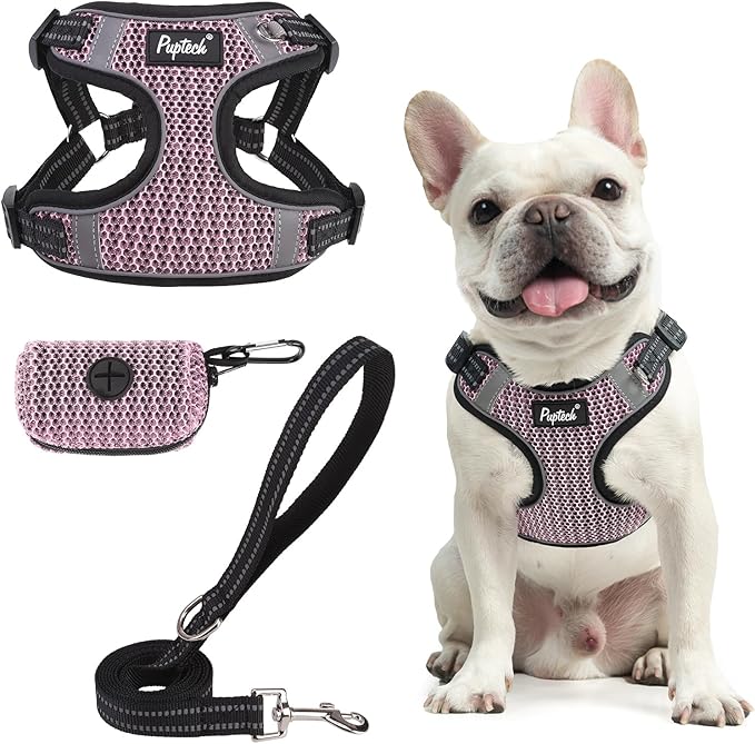 PUPTECK No Pull Dog Harness and Leash Set Reflective No Choke Step in Puppy Halter for XS Small and Medium Sized Dogs, LightPink, Breathable Mesh, M