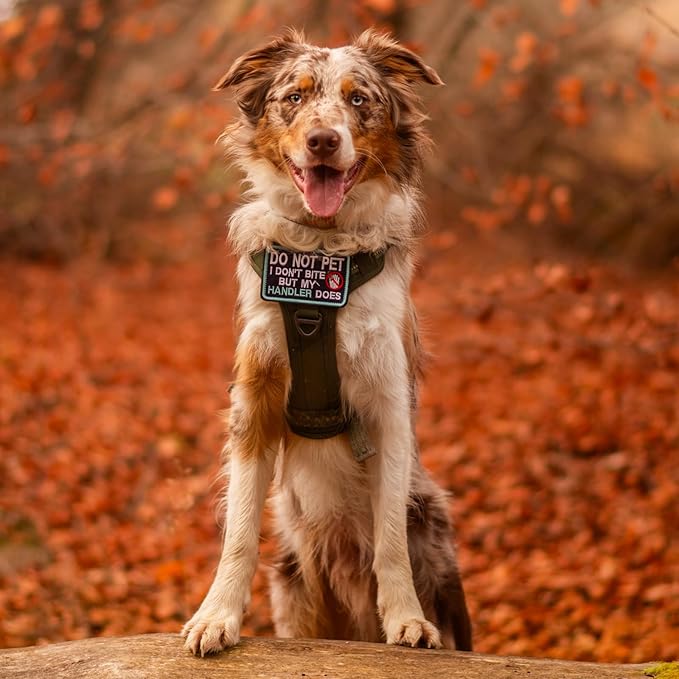 rabbitgoo Dog Harness Medium Sized No Pull, Tactical Service Dog Vest with Molle and Control Handle, Adjustable and Reflective Military Pet Harness for Easy Walking and Training, Blue, M