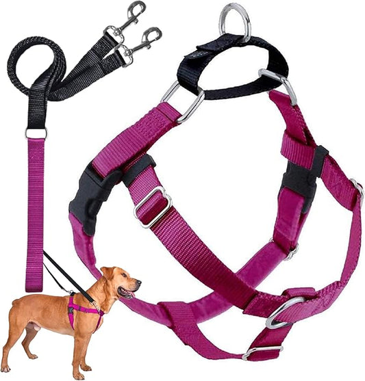 2 Hounds Design Freedom No Pull Dog Harness | Comfortable Control for Easy Walking |Adjustable Dog Harness and Leash Set | Small, Medium & Large Dogs | Made in USA | Solid Colors | 1" MD Raspberry
