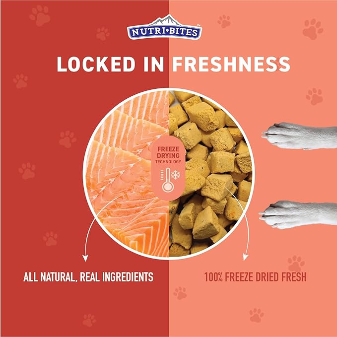 Nutri Bites Freeze Dried Salmon Dog & Cat Treats 4 oz | Healthy Pet Training Treats or Food Topper | All Natural, 1 Single Animal Protein, High Protein