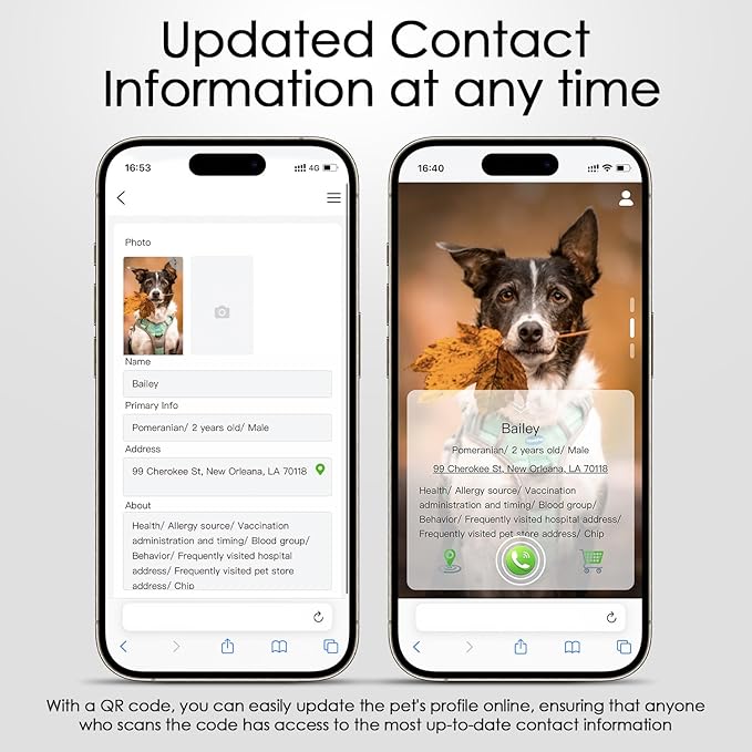 QR Code Dog Tag, Smart ID Tags, Dog Tags Personalized Lightweight Silent ID Tag for Kids Pets Bags Keys, Pack of 7