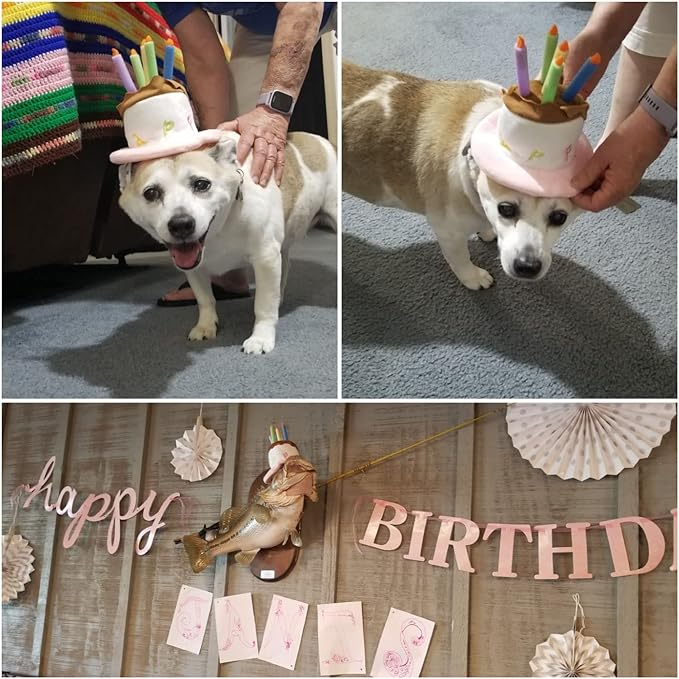 Namsan Cat Birthday Hat, Valentine Hat for Cats Small Dogs, Lucky Cat Birthday Cake Costume, Puppy Party Supplies, Small, Pink