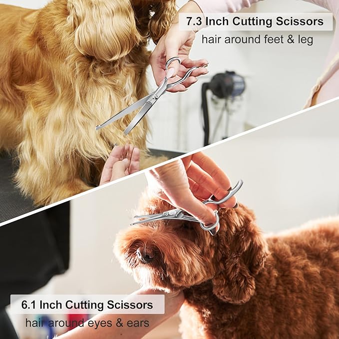 CIICII Dog Grooming Scissors Kit, 10-In-1 Professional Pet Grooming Scissors Set with Safety Round Tip (Dogs/Cat Hair Cutting Trimming Thinning Shears with Curved Scissors) for DIY Home Salon (Silver)