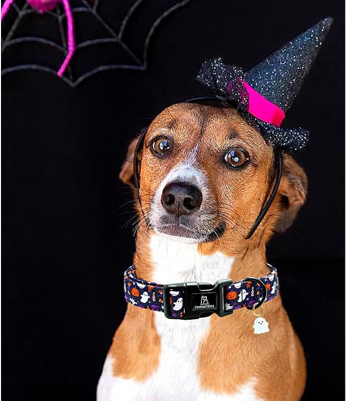 Lionheart glory Dog Collars Fall Halloween Pumpkin Collar Dog Heavy Comfortable Adjustable Dog Collar for Large Collar Dogs Girls or Boys Dog Collar Cute Pet Gift