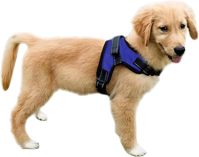 No Pull Reflective Adjustable Dog Harness With Handle- Comfortable Soft All Weather Mesh, Easy On Puppy Harness For Small Medium and Large Dogs (Blue) XX-Small