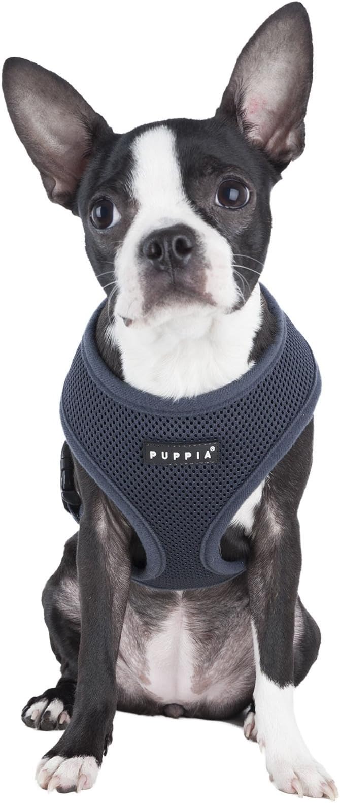 Authentic Puppia Soft Harness, Grey, Large (Pack of 2)
