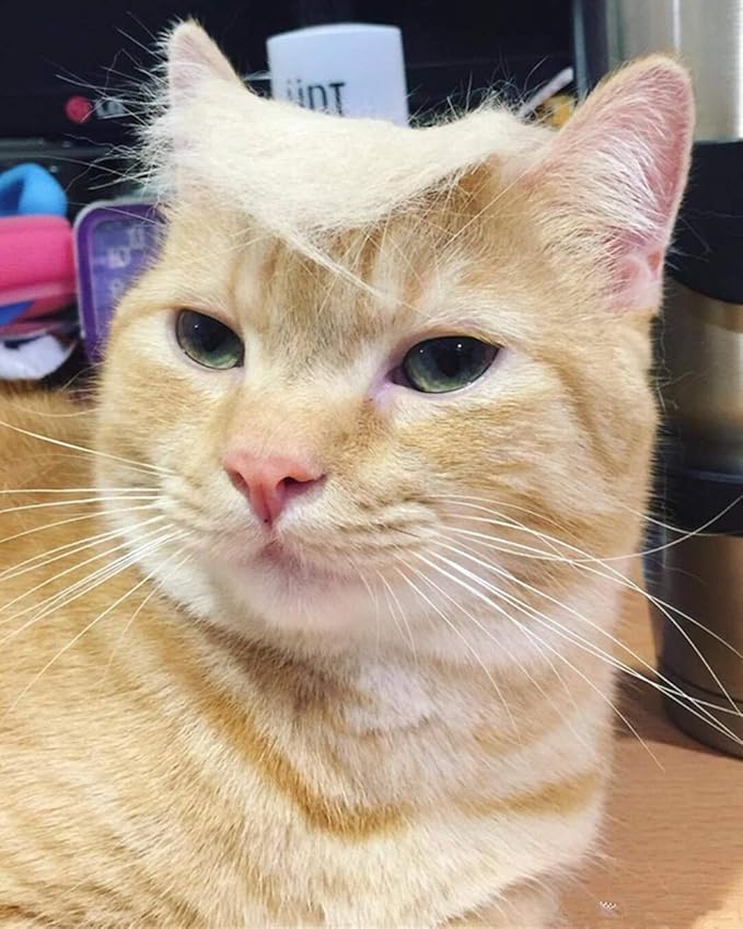 Donald Trump Style Pet Costume Dog Wig, Dog Clothes with Collar & Tie Head Wear Apparel Toy for Halloween, Christmas, Parties, Festivals (Brown Without Tie)