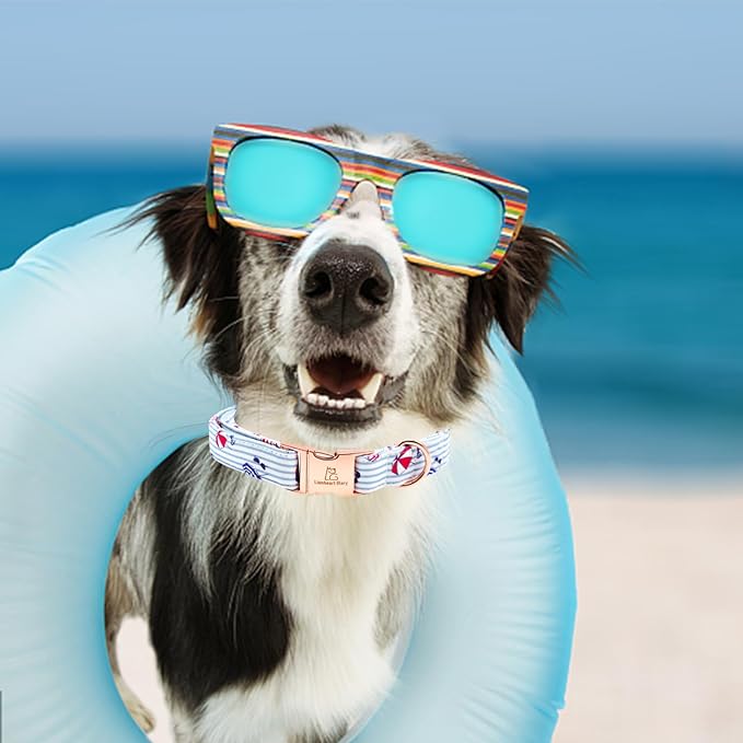 Lionheart glory Dog Collar, Dog Collar Summer Stripe Boy Dog Collar Cute Pet Collar Gift for Medium Dog