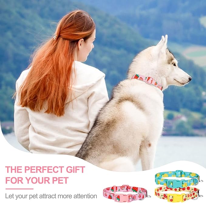 azuza 3 Pack Fruit Design Dog Collars Comfortable and Adjustable Nylon Dog Collars for Medium Dogs, M (14-20inch)，Strawberry，Lemon and Cherry