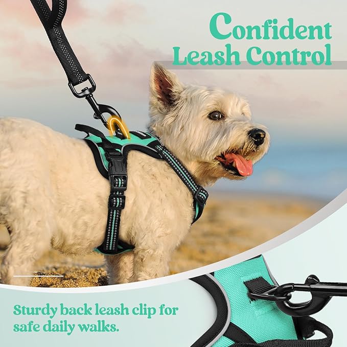 rabbitgoo Dog Harness, No-Pull Pet Harness with 2 Leash Clips, Adjustable Soft Padded Dog Vest, Reflective No-Choke Pet Oxford Vest with Easy Control Handle for Small Dogs, Turquoise, XS