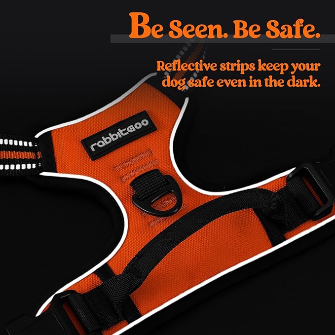 rabbitgoo Dog Harness,No-Pull Pet Harness with 2 Leash Clips,Adjustable Soft Padded Dog Vest,Reflective No-Choke Pet Oxford Vest with Easy Control Handle for Medium Dogs,Orange, M