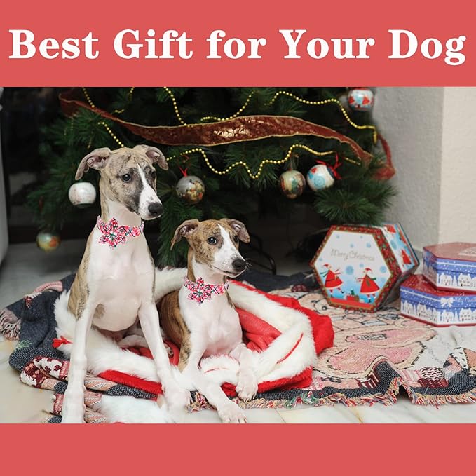 Unique style paws Dog Collar with Flower Pink & Green Plaid Dog Collar Best Gifts for Small Medium Large Dogs -XL