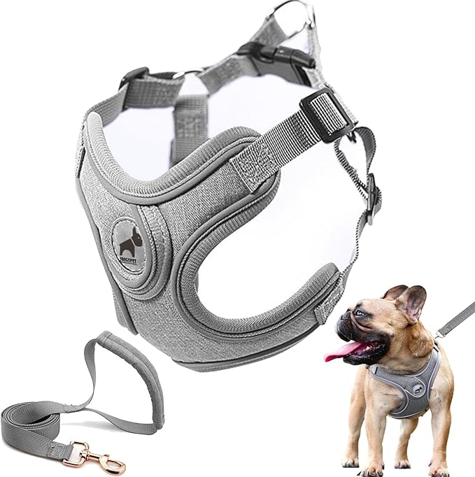 Dog Harness with Leash Set, No Pull Dog Harnesses with Breathable Padded Puppy Harness for Small Dogs Training and Running(XS, Gray)