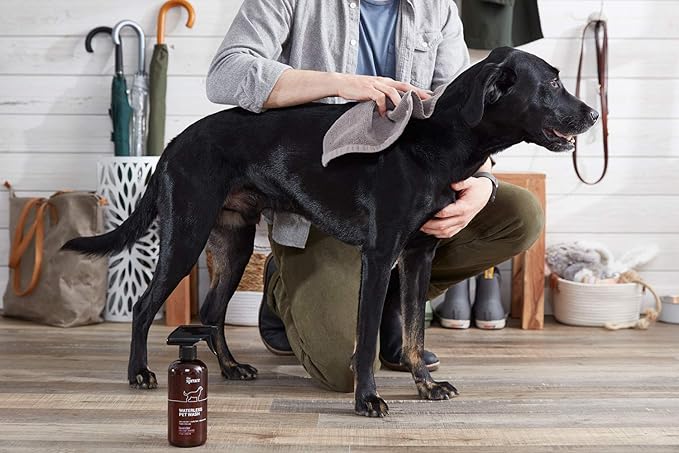 The Spruce Waterless Pet Wash, No Rinse Moisturizing Shampoo for Pets - Daily Pet Care - Cleaning, Cleansing, and Conditioning for Dogs, Puppies, and Cats - 2 oz Travel Size, 3 Pack, Lavender