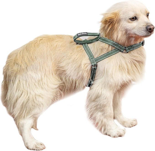 SATSUN Dog Harness Small Sized Dog, No Pull Dog Harness with 2 Adjustable Points & 1 Leash Clip, Reflective Comfortable Dog Vest with Easy Control Handle Ideal for Walking and Training, Army Green,S