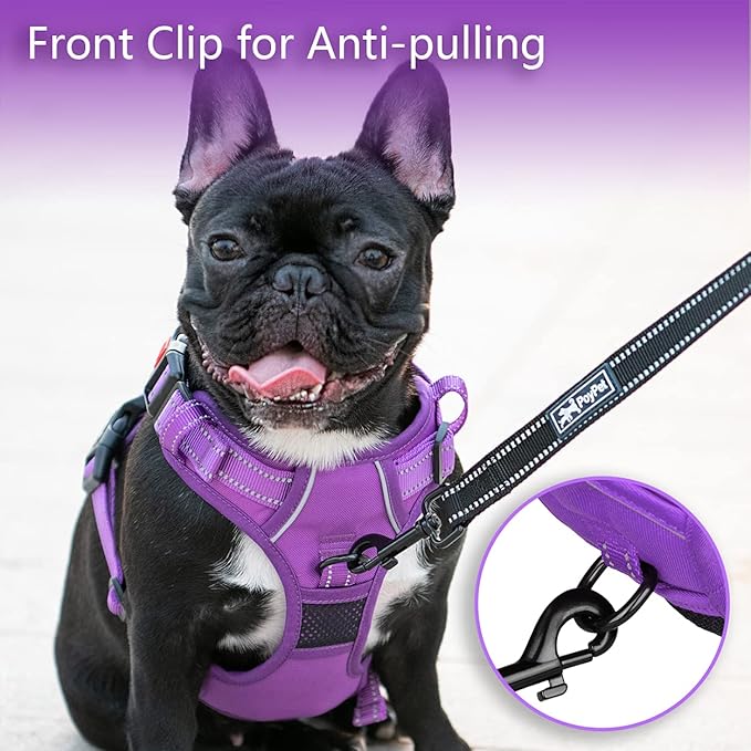 PoyPet No Pull Dog Harness, No Choke Reflective Dog Vest, Adjustable Pet Harnesses with Easy Control Padded Handle for Small Medium Large Dogs(Purple Matching Trim,M)