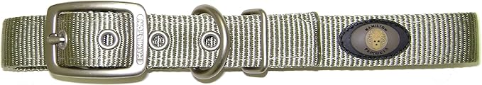 Hamilton Double Thick Nylon Deluxe Dog Collar with Brushed Hardware Finish, 1-Inch by 22-Inch, Sage Green