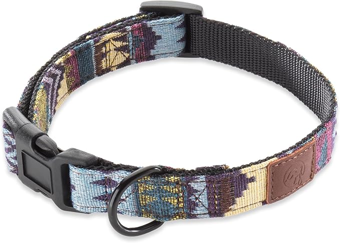 Embark Urban Dog Collar – Dog Collar Stylish & Durable Nylon Dog Collar for Large Dogs, Small Dogs & Medium Dogs.Comfortable Pet Collar Strong Buckles for Any Size Breed (Azure, Large)