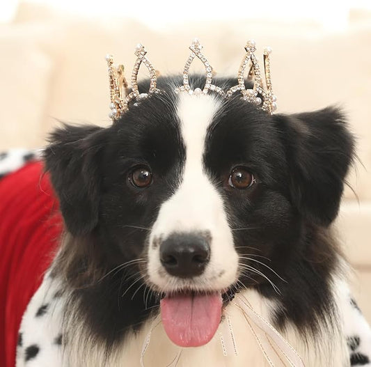 Lovelyshop Pet Series Gold Plated Royal Rhinestone Pearl Full Round Dog/Cat Crown for Rolyal Family Costume Hair Accessories-Large Size