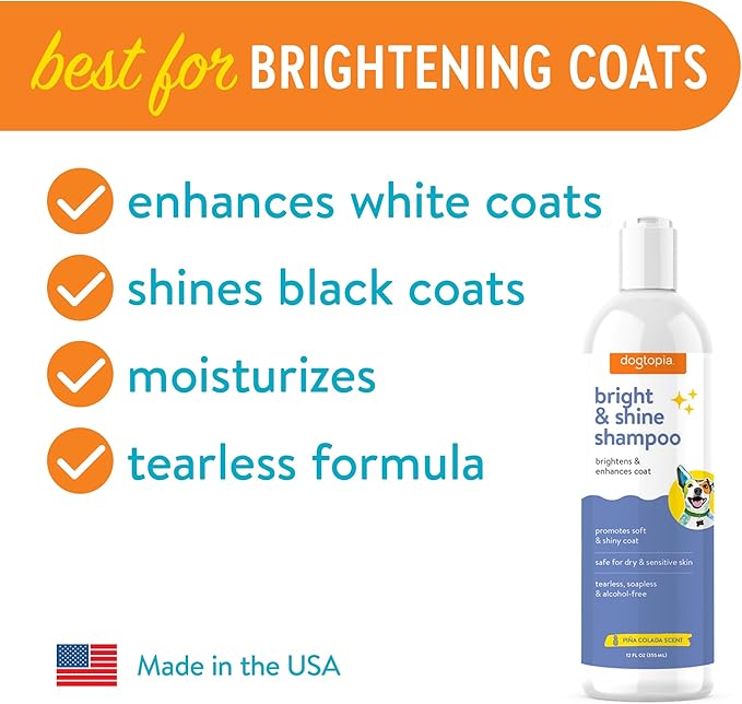 Bright and Shine Shampoo – 12oz Piña Colada Scent | Restoring Shampoo Rich with Soothing Colloidal Oatmeal | Tearless and Alcohol-Free for Everyday Use