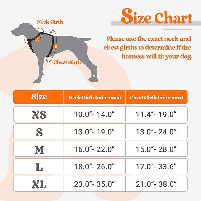 rabbitgoo Dog Harness,No-Pull Pet Harness with 2 Leash Clips,Adjustable Soft Padded Dog Vest,Reflective No-Choke Pet Oxford Vest with Easy Control Handle for Medium Dogs,Orange, M